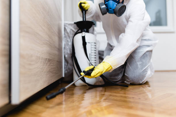 Best Pest Removal Services  in Home Gardens, CA