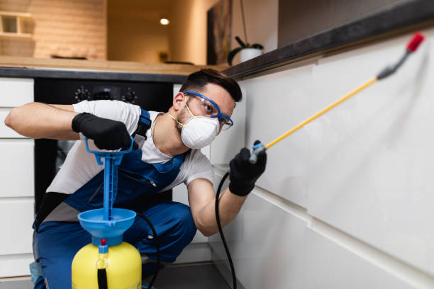 Best Best Pest Control Companies  in Home Gardens, CA