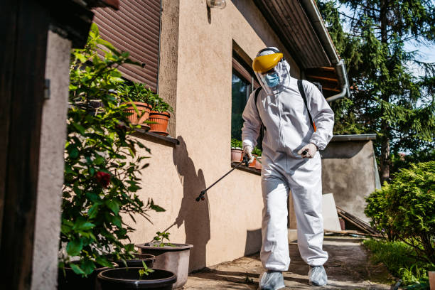 Best Pest Control Near Me  in Home Gardens, CA