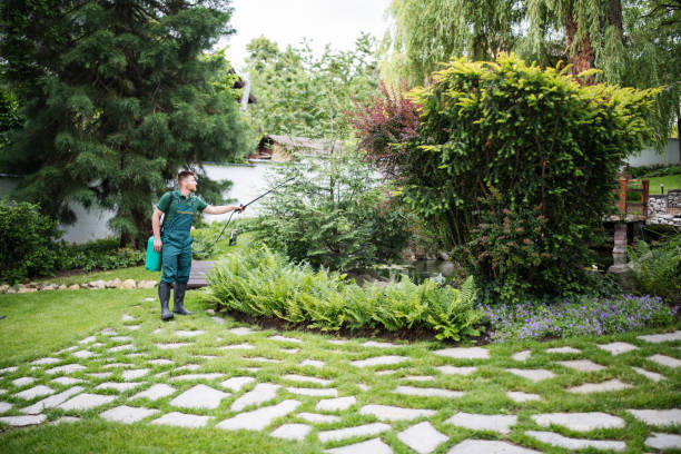 Best Flea Control Services  in Home Gardens, CA