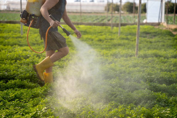 Home Gardens, CA Pest Control Company