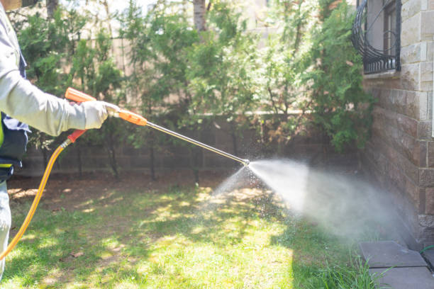 Best Pest Control for Restaurants  in Home Gardens, CA