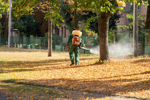 Pest Control for Restaurants in Home Gardens, CA