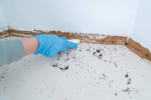 Best Wildlife Control Services  in Home Gardens, CA